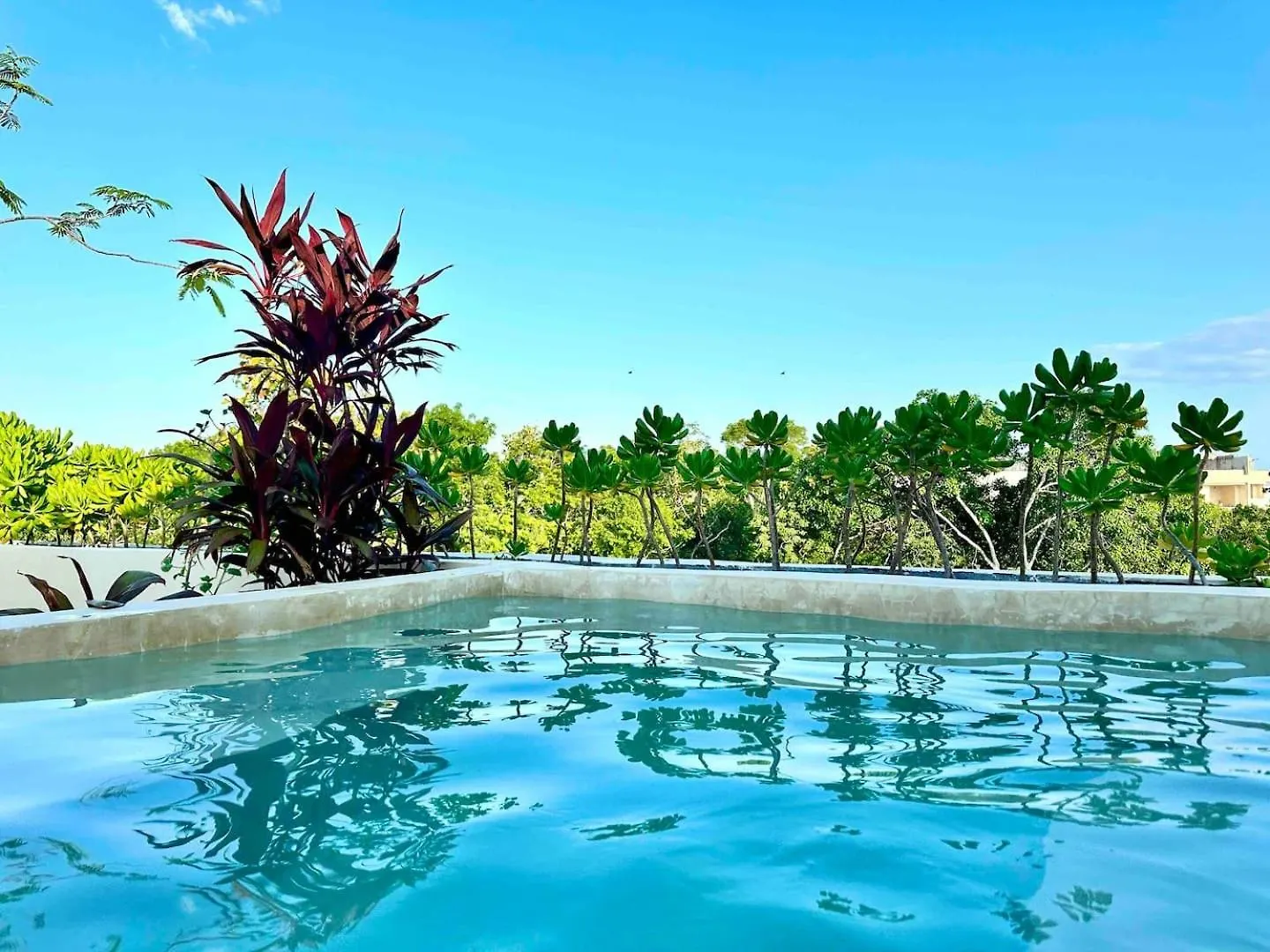 Luxury Awaits! 5 Beds 5 Baths 2 Private Pools! Villa Tulum 0*,