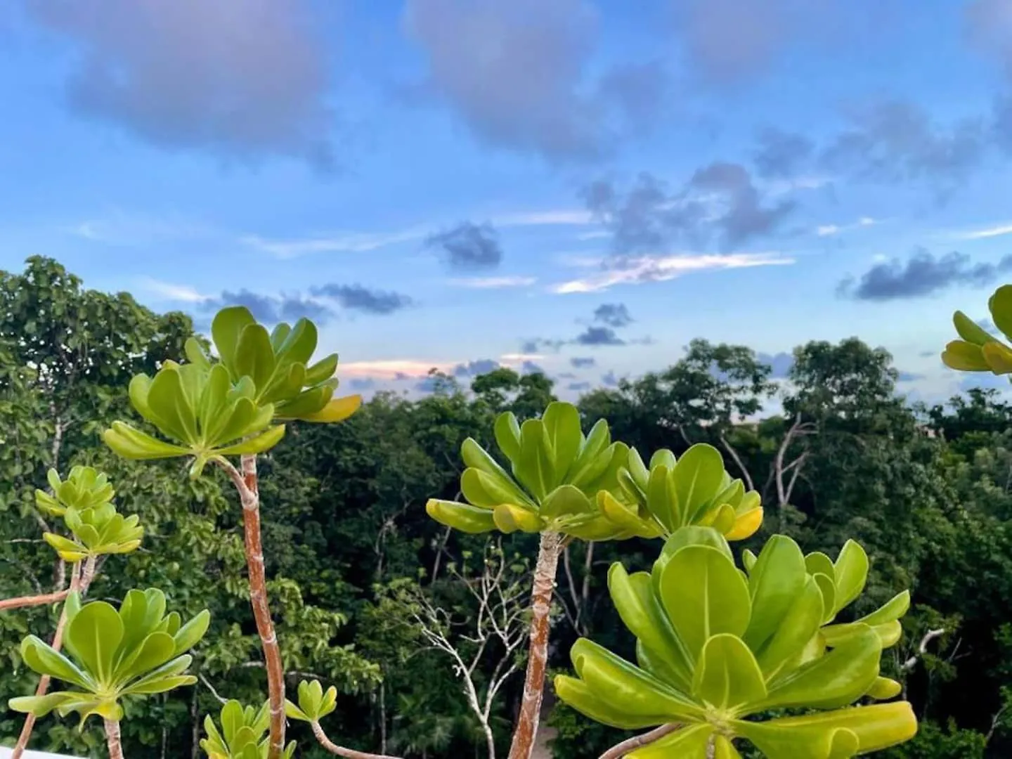 Luxury Awaits! 5 Beds 5 Baths 2 Private Pools! Villa Tulum 0*,  Mexico